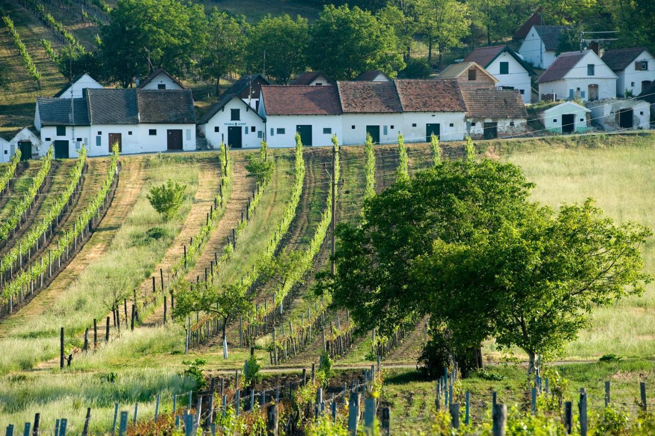 Weinhotel Rieder Poysdorf Dış mekan fotoğraf
